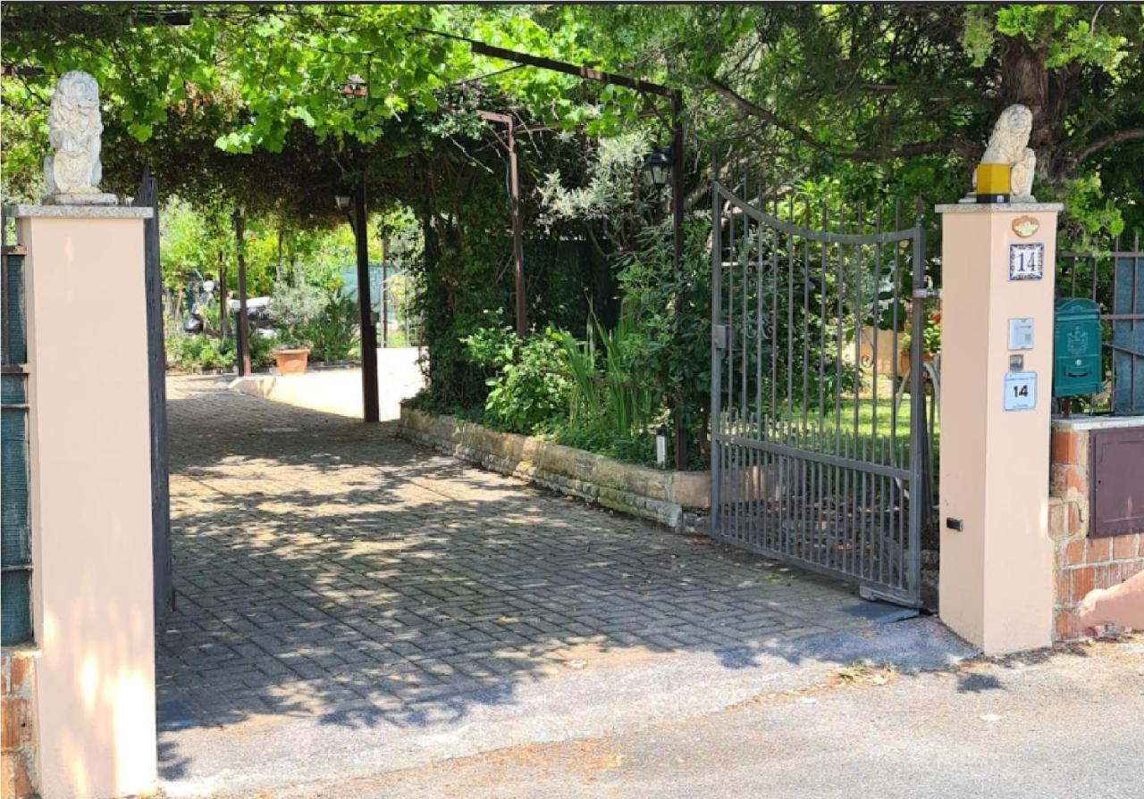 La Terrazza Sui Limoni - Suite Degli Ospiti - Mare, Escursioni A Piedi O Bike, Falesie Per Arrampicate Cisano sul Neva 外观 照片