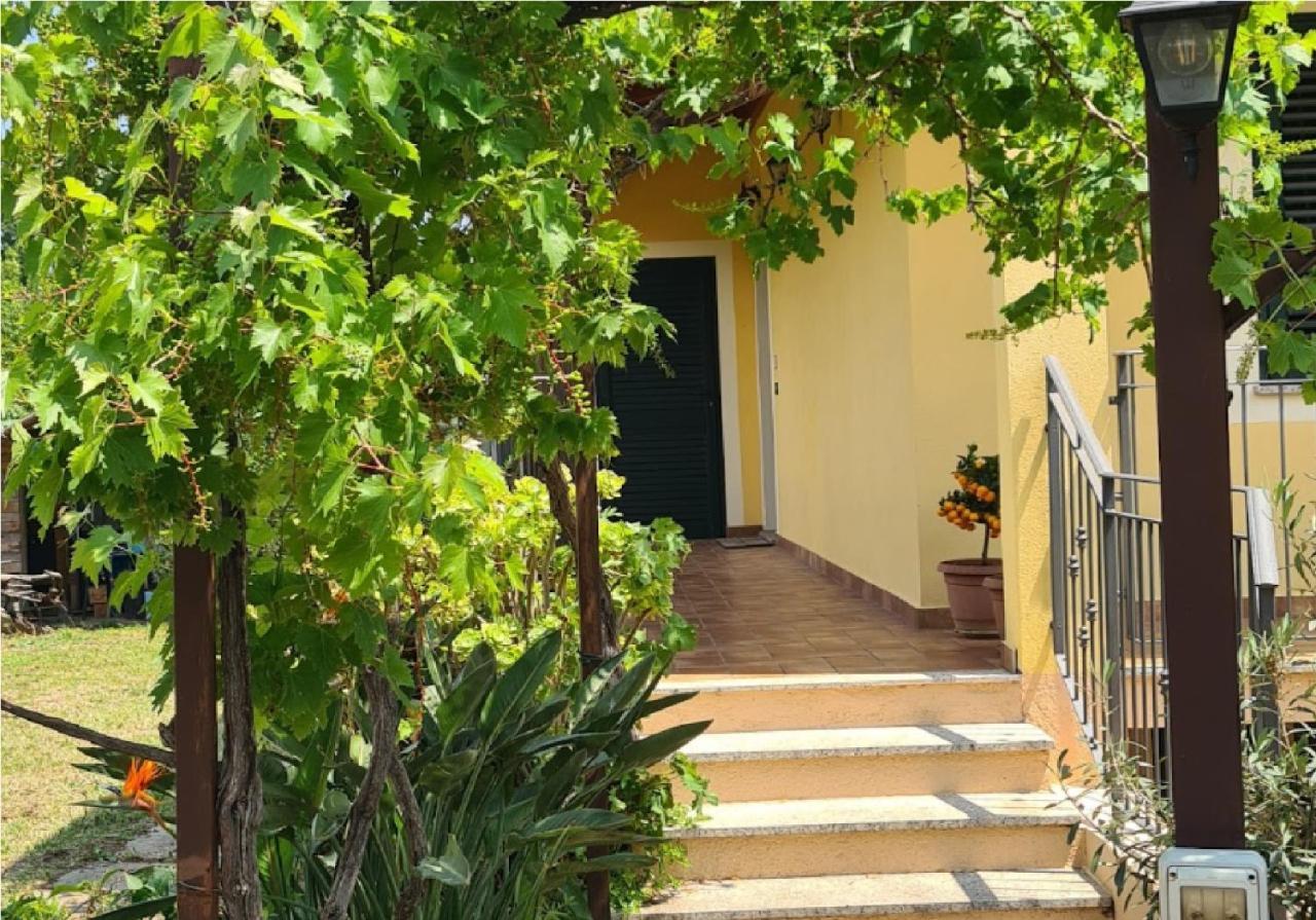 La Terrazza Sui Limoni - Suite Degli Ospiti - Mare, Escursioni A Piedi O Bike, Falesie Per Arrampicate Cisano sul Neva 外观 照片